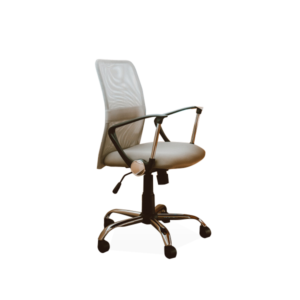 Services working chair with armrest